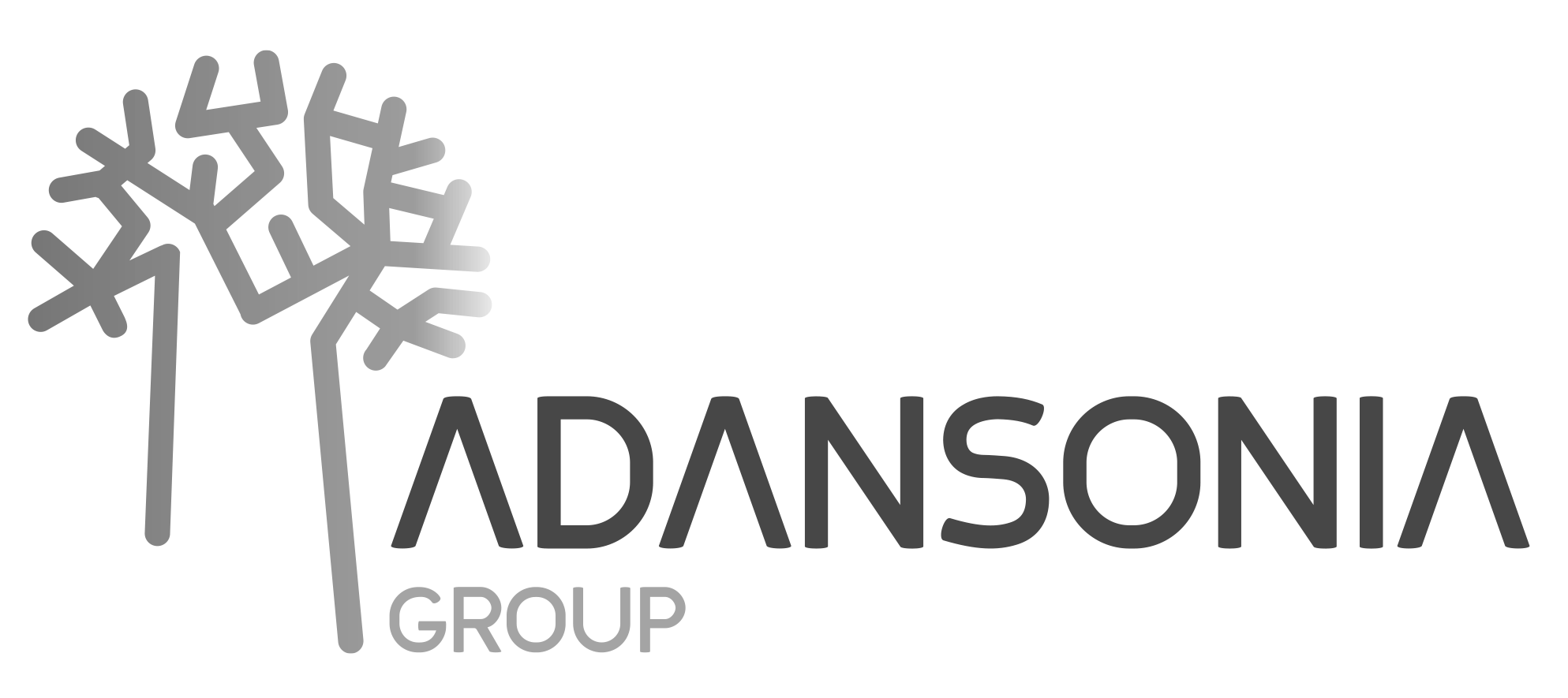 Adansonia
